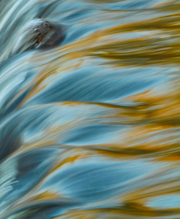 Bond falls