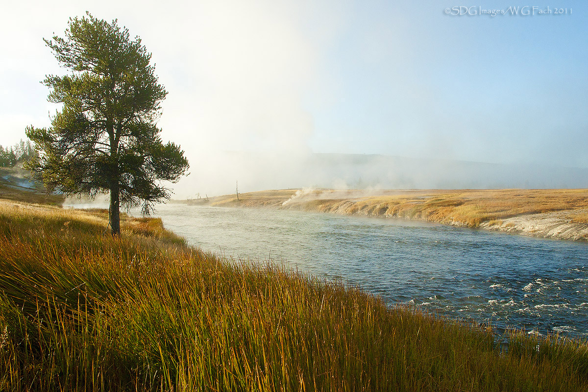Steamy Morn