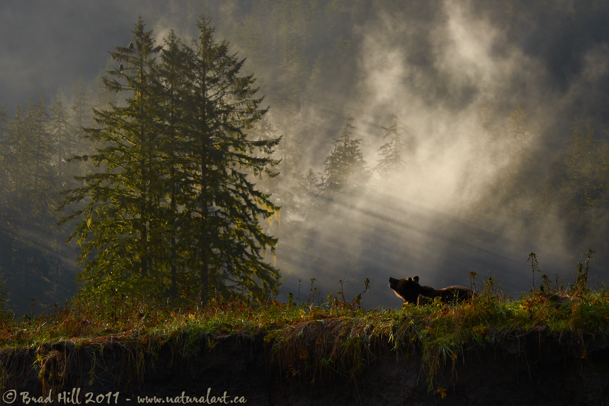 Autumn Sunrise...