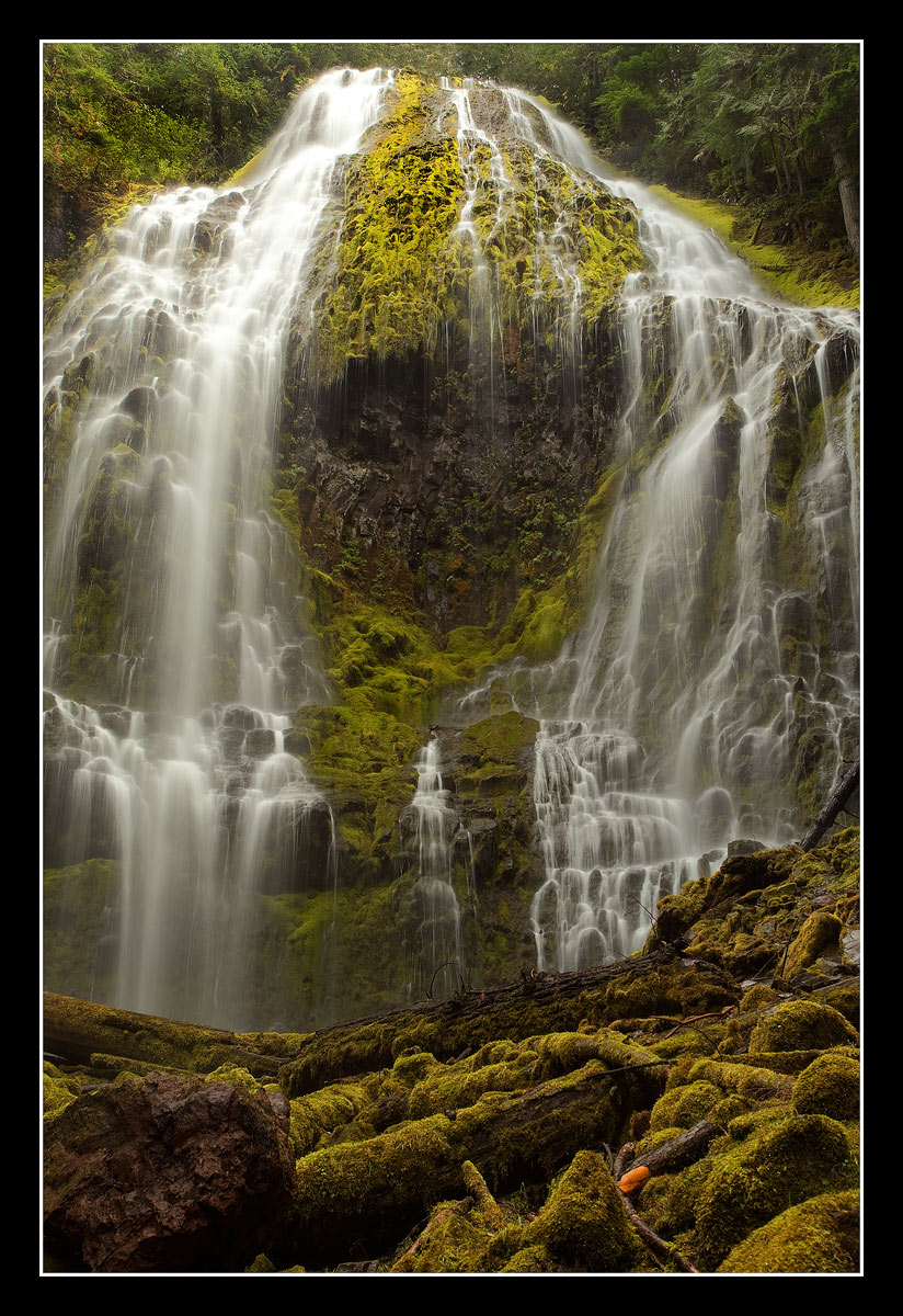 Proxy Falls Creature