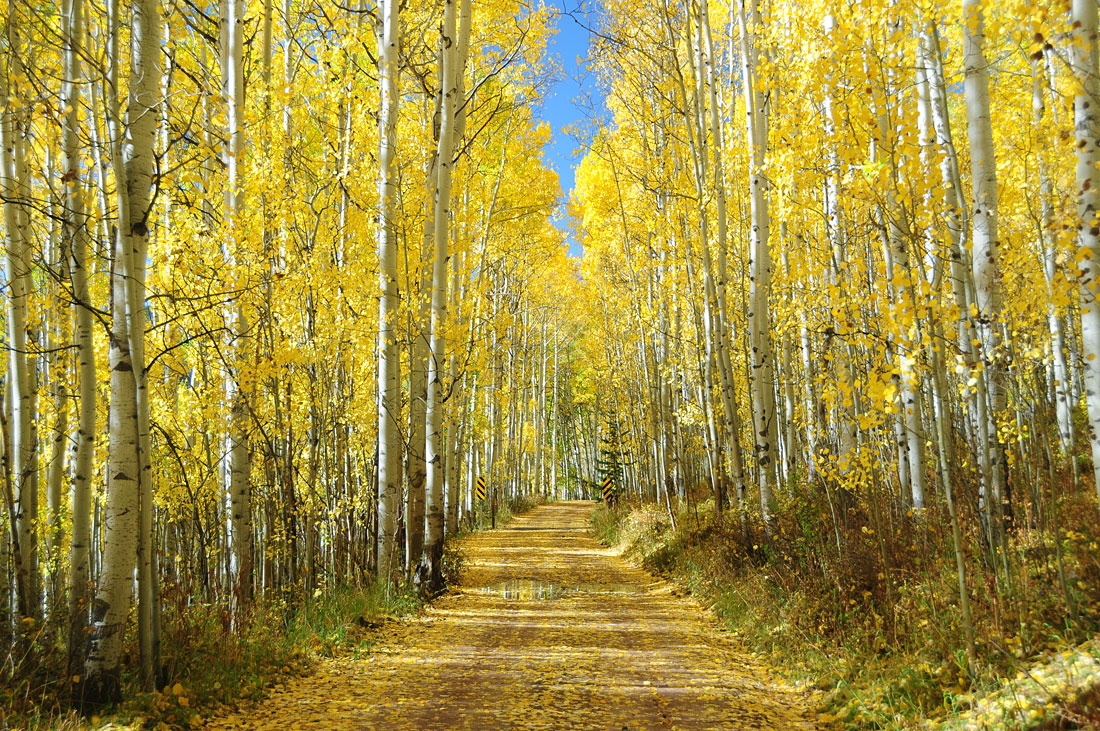 Routt County 15