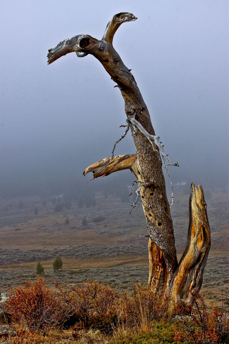 Standing Alone