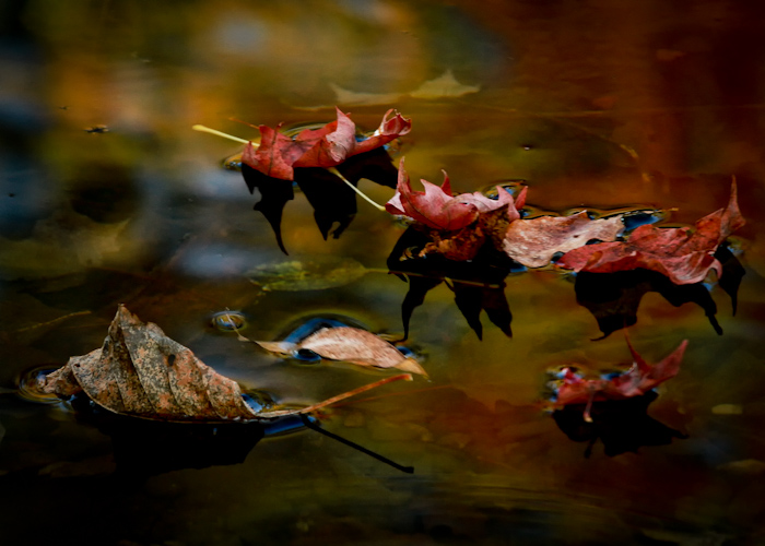 floating color