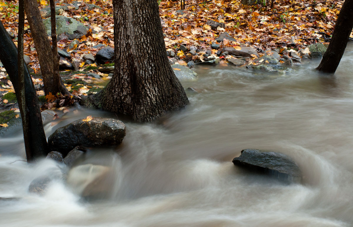 Harriman stream WC 507