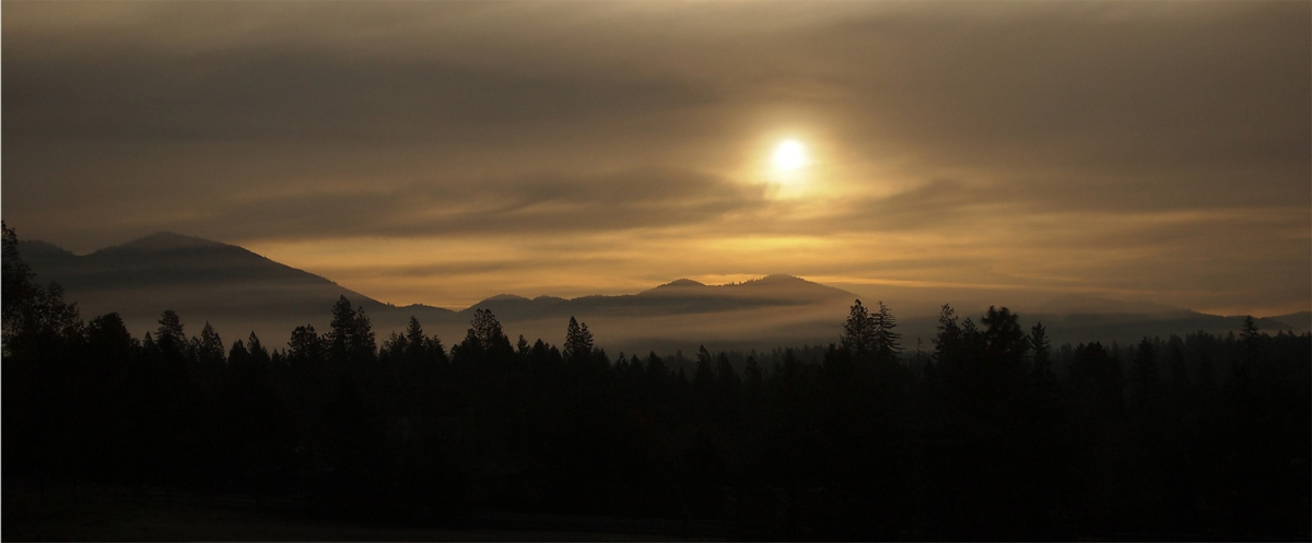 Rogue River Fog