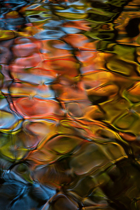 Fall 2011 Abstract #1