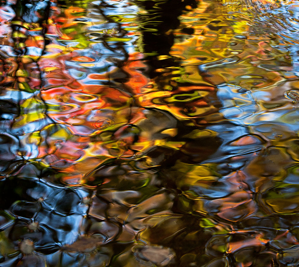 Fall 2011 Abstract#2