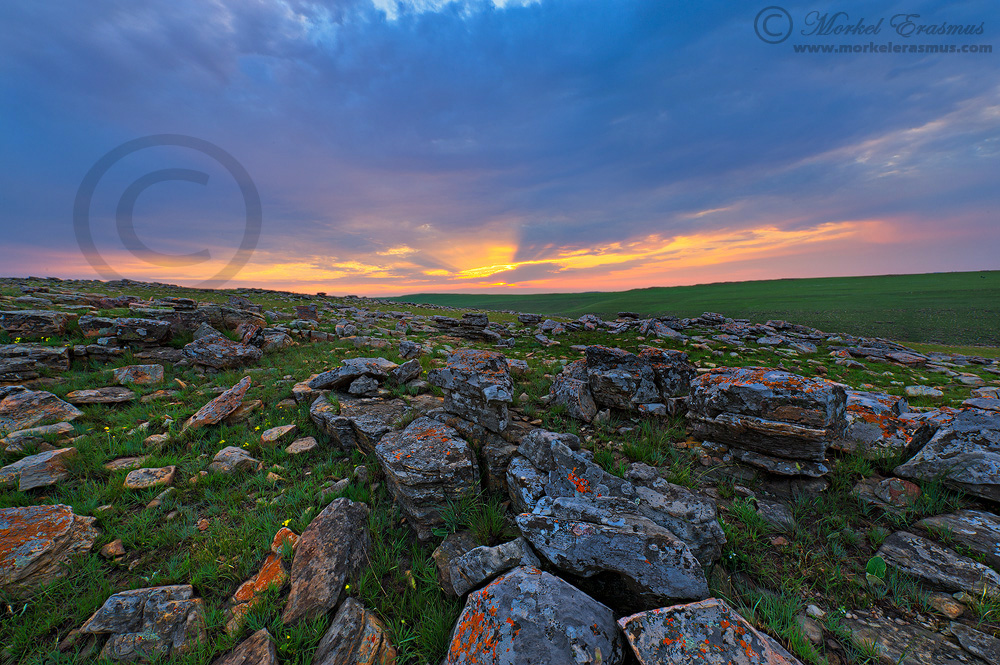 Highveld Sunset