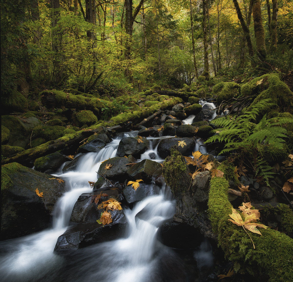 Dry Creek