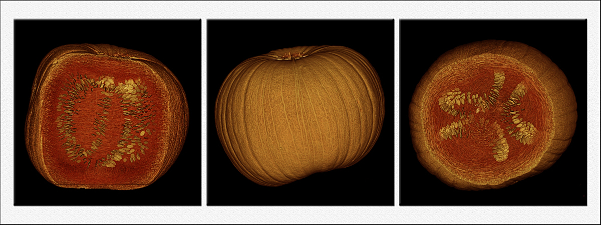 Inside the pumpkin