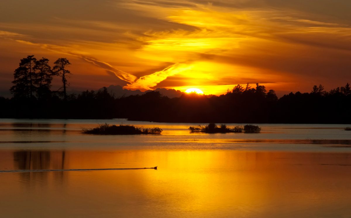 Sunset at Seney #508
