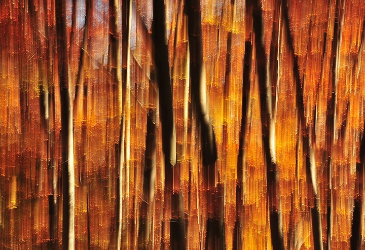 Autumn 2