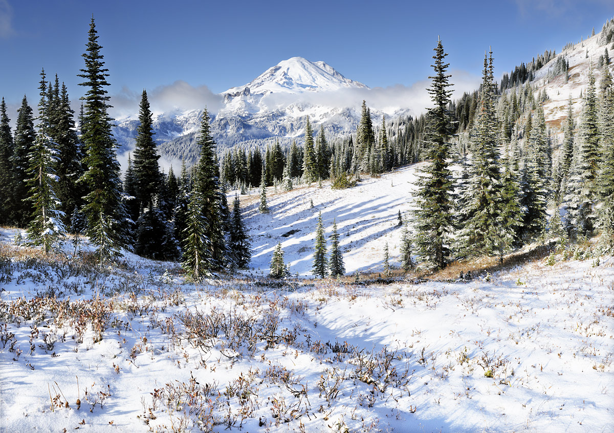 Mt Rainier - New Snow