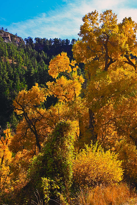 Tongue River Canyon +repost