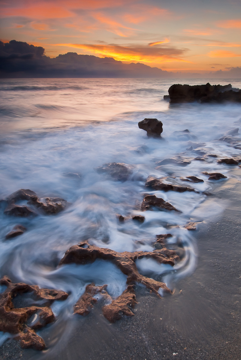 Primordial sea