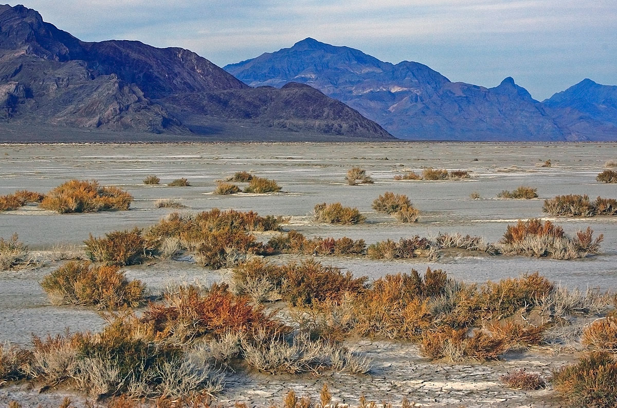 Salt Flats