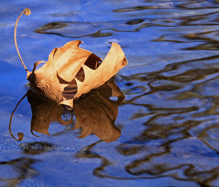 Floatin' down the river