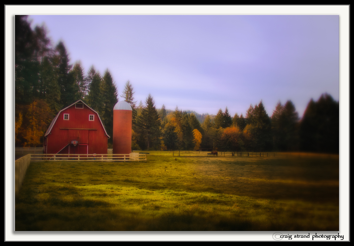 Country Autumn