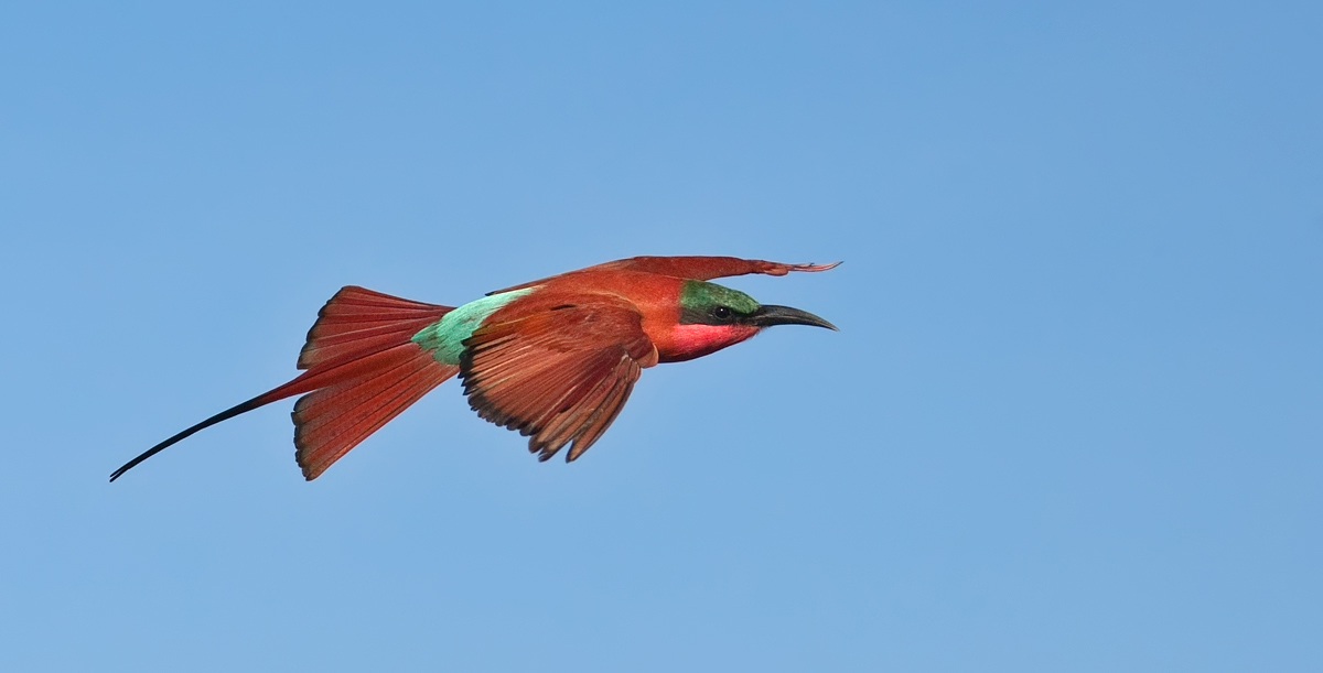 Fly By