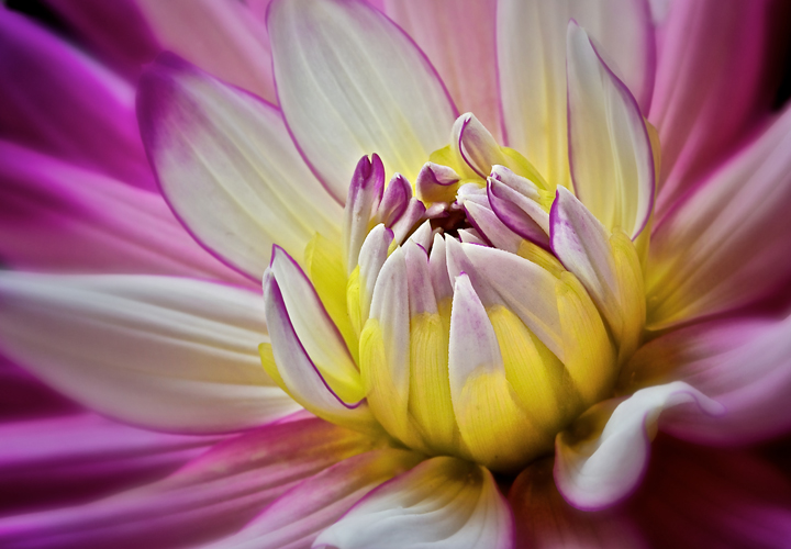 Opening Up