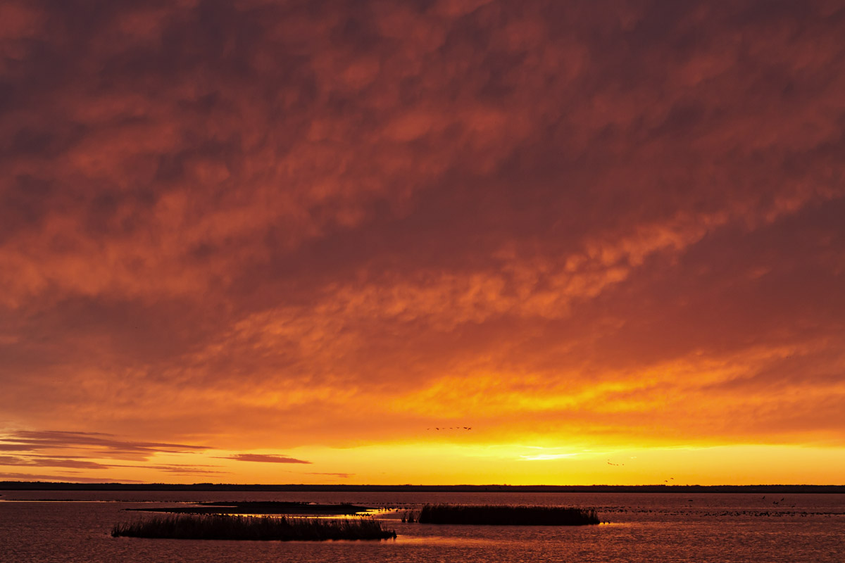 Sunset- Cheyenne Bottoms