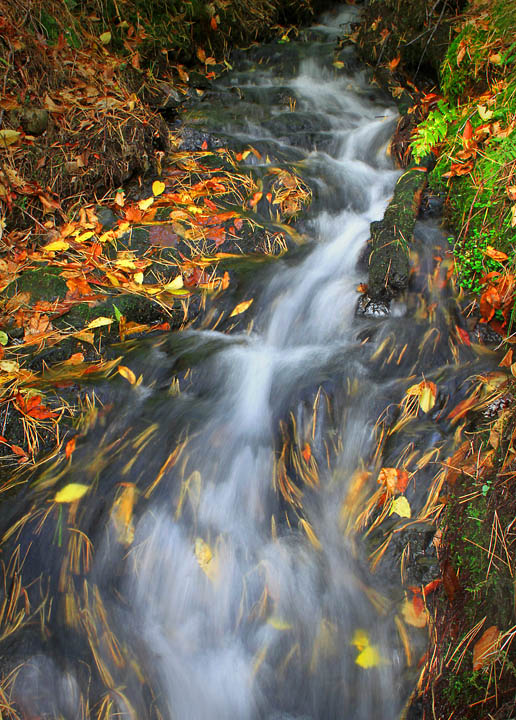 Fall mountain stream (+REPOST)