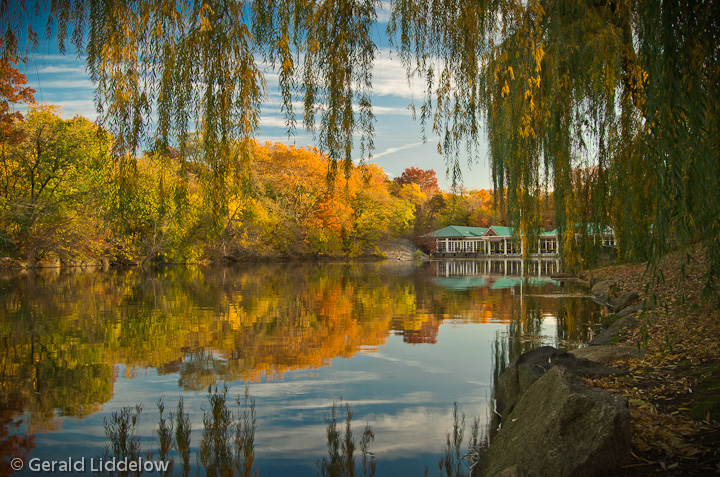 Fall colors central park