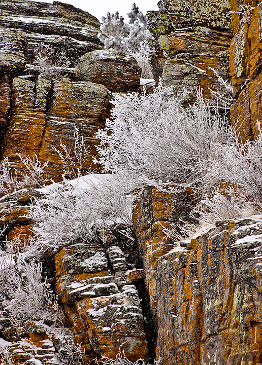 Hoar Frost + repost