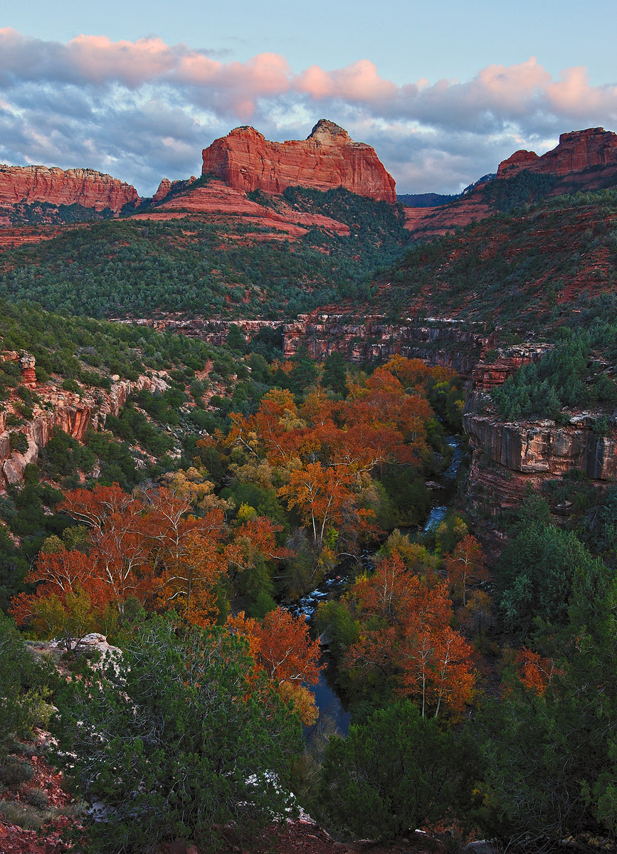 Fall Lingers in Sedona