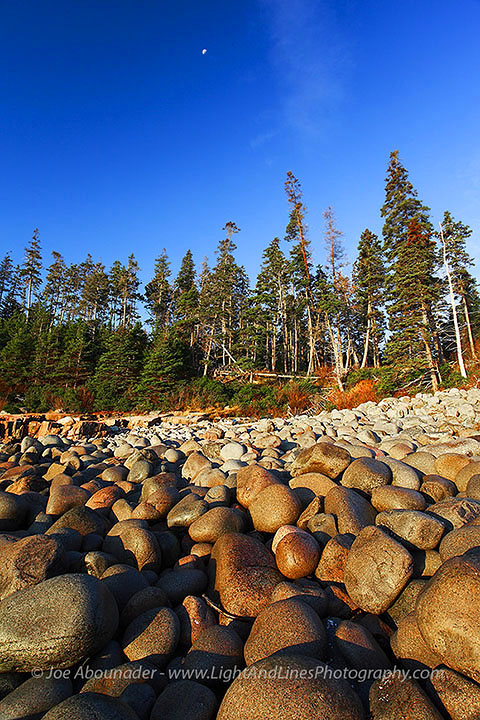 Acadia Photo + Moonless