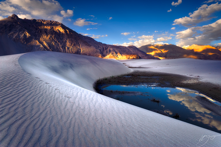 Himalayan Sands