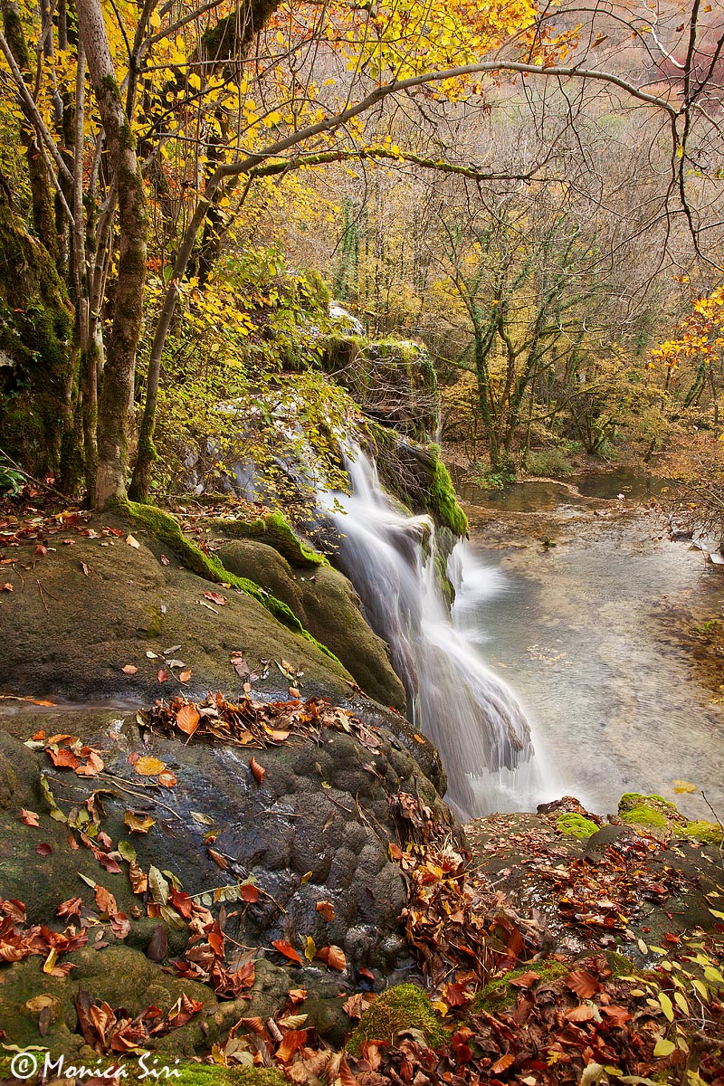 Lumières d'automne