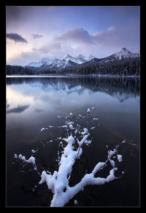 Herbert Lake