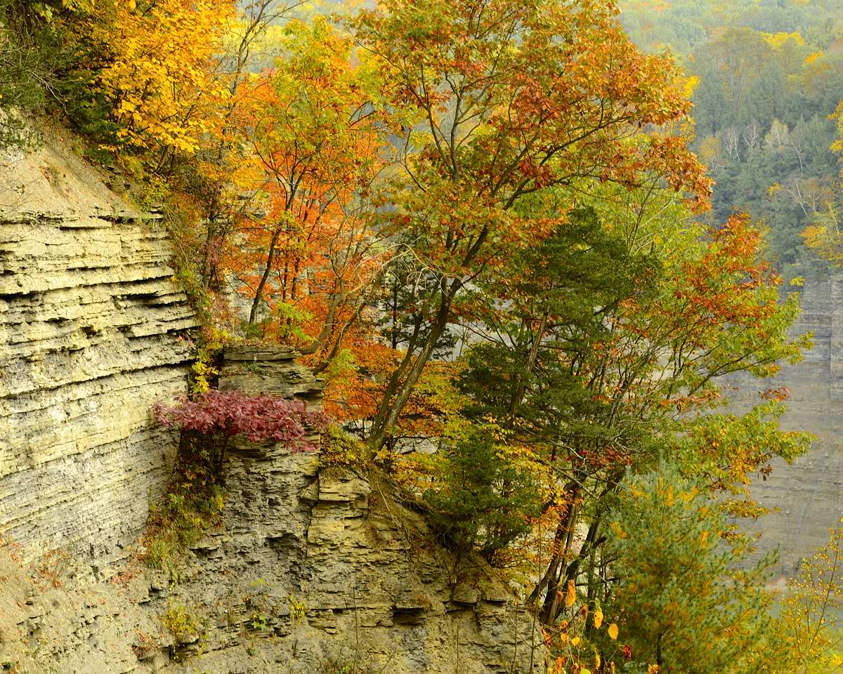Ledge at Letchworth