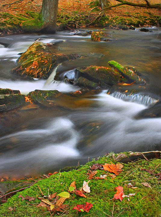 View across the stream+Repost