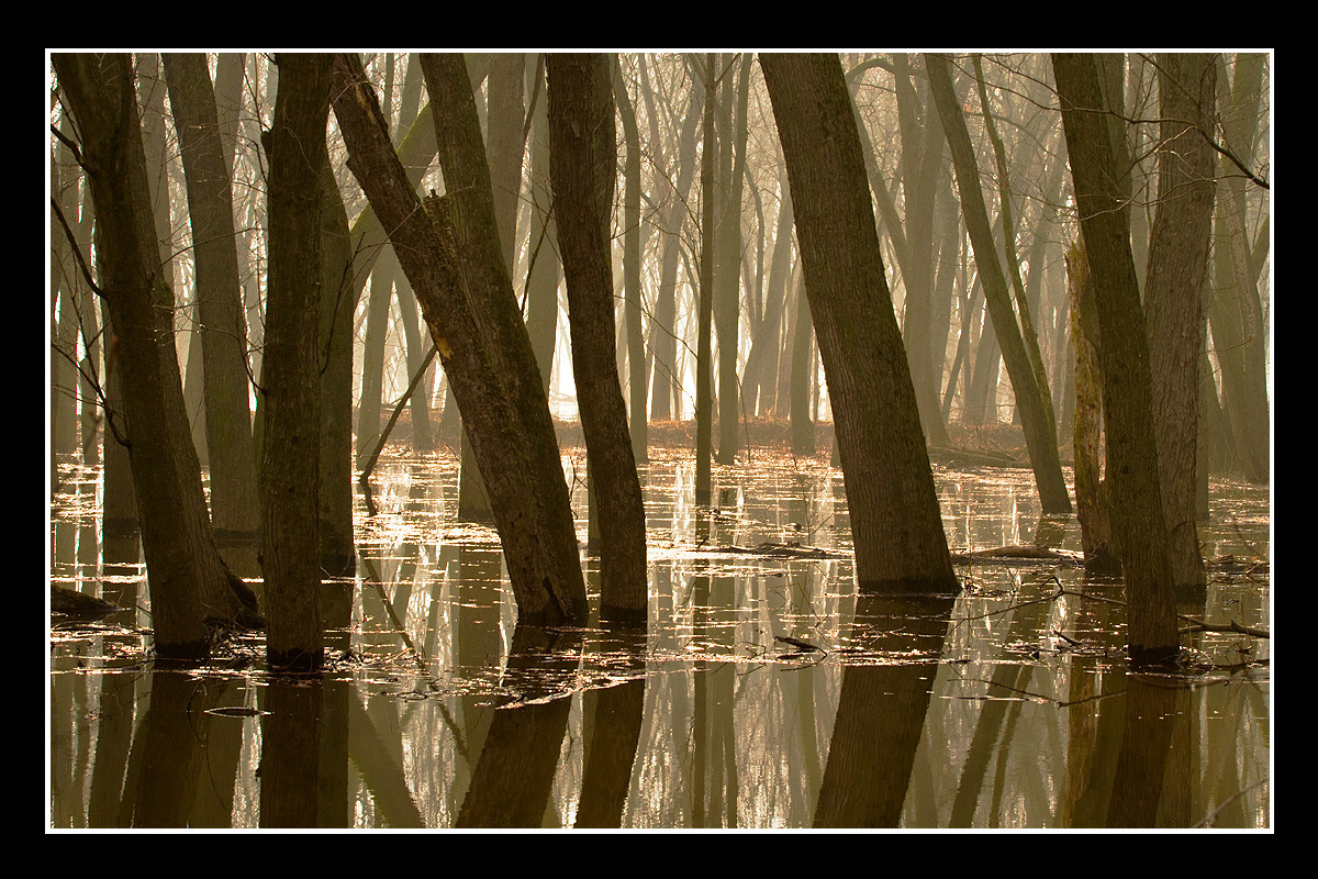 High Water