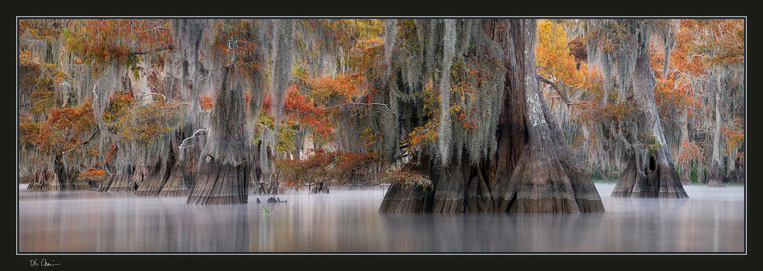 Autumn Pano