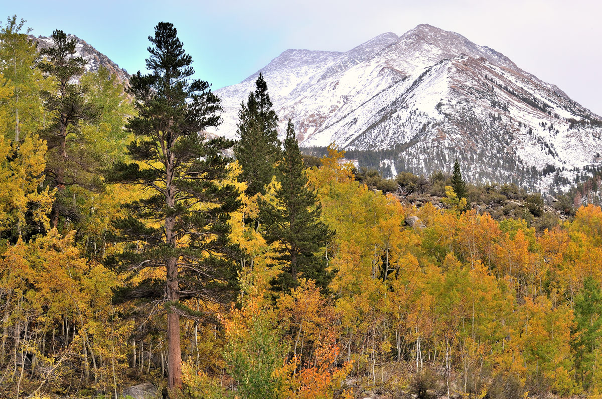 Bishop Creek Color