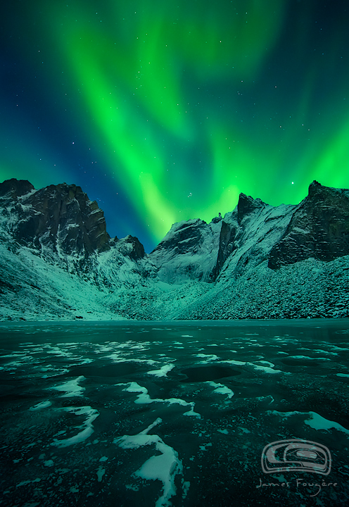 "ARCTIC BAT"