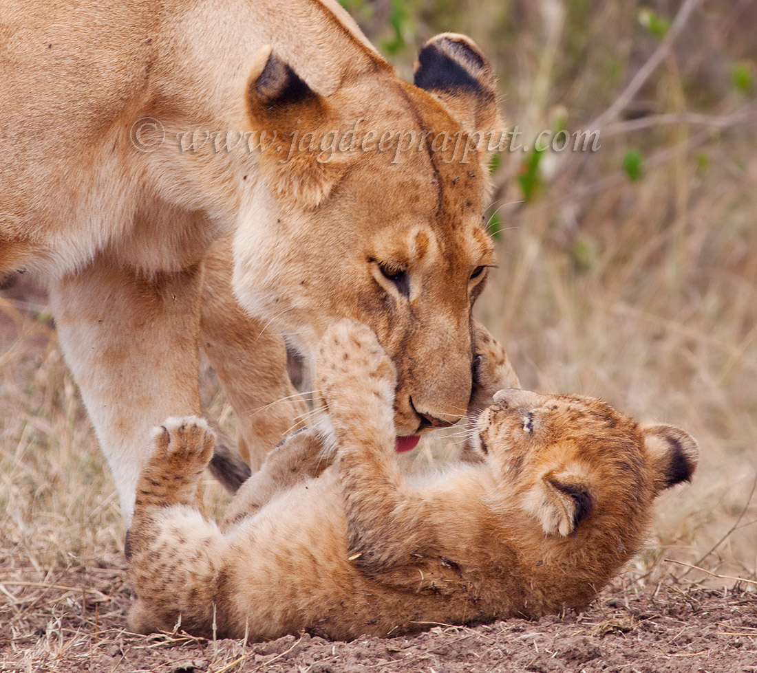 Tickling the baby