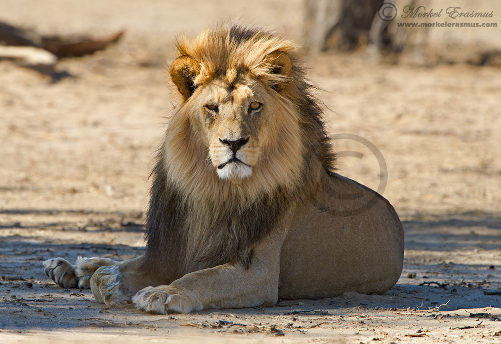 You talkin' to me??