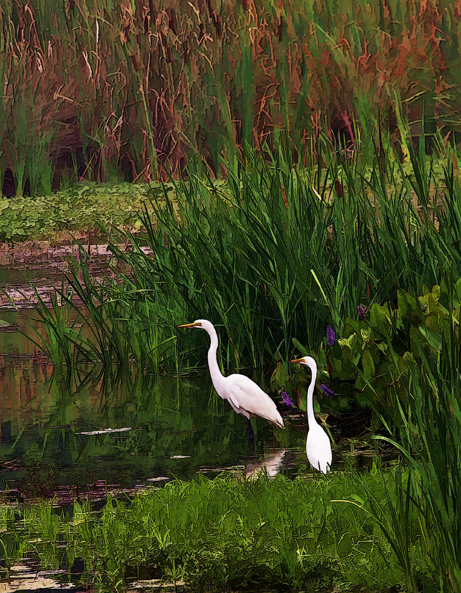 Egret Paradise