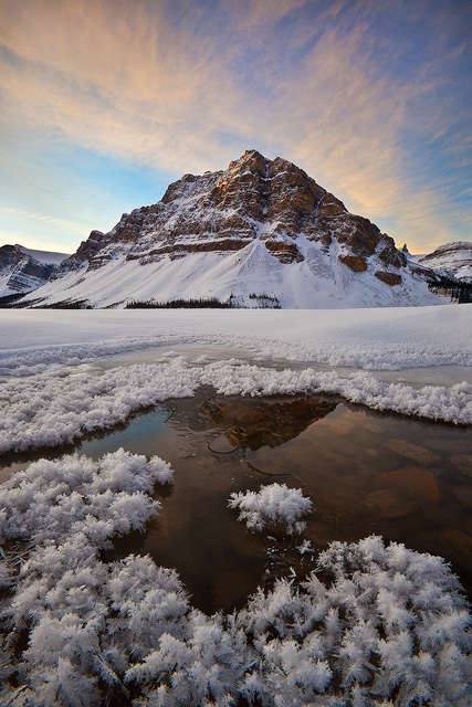 Frigid & Frosty Morning
