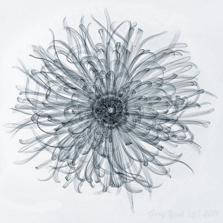 Electron cloud