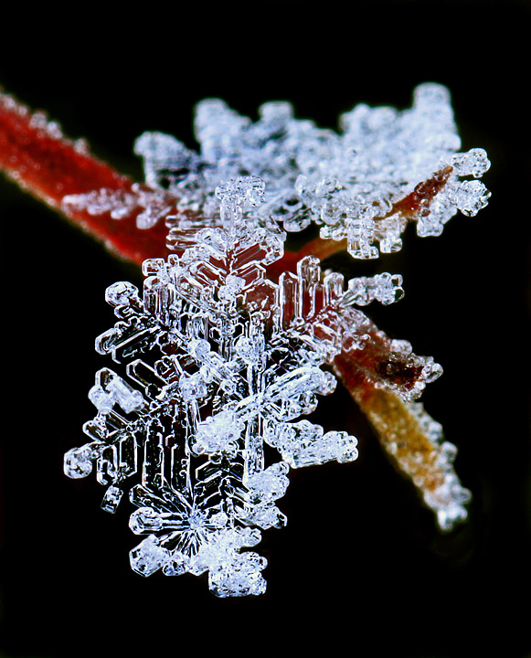 Snowflakes