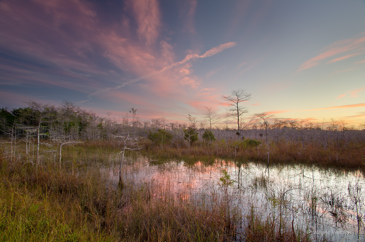 Christmas in the Glades+Repost