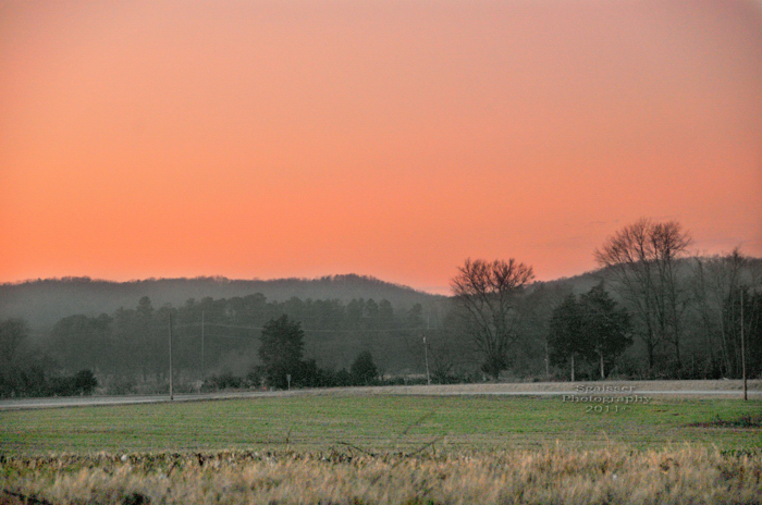 Highway Field