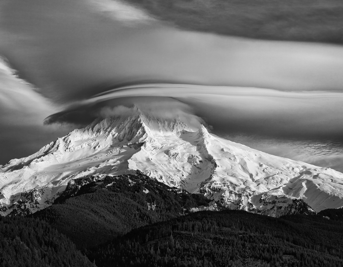 Mt Hood from Lolo 2