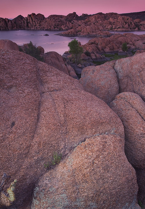 Serene 