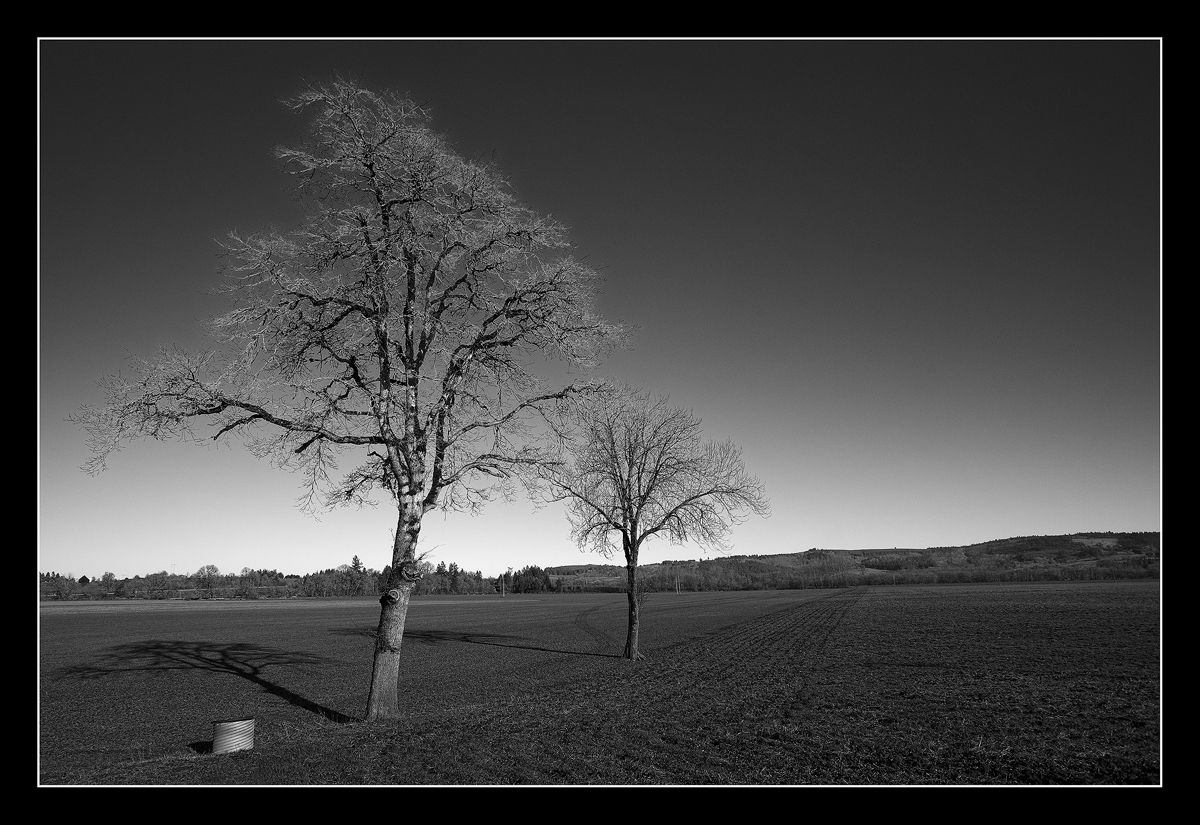 Scoggins Valley, OR